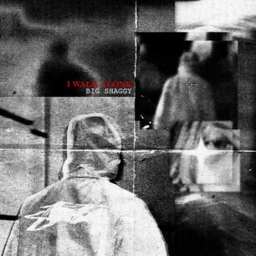 دانلود آهنگ آی واک الون از بیگ شگی