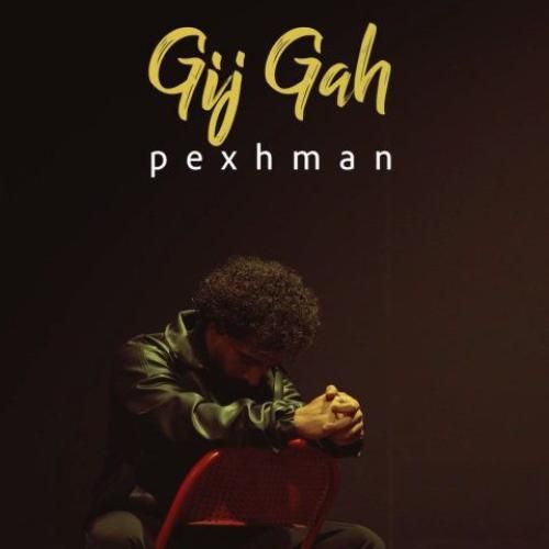 دانلود آهنگ گیجگاه از پژمان