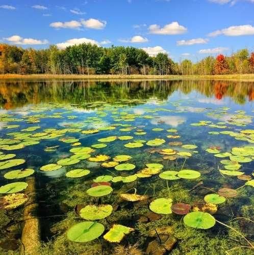  همه چیزیو تجربه کردم قرص های اعصاب