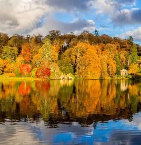  گفتم دوست دارم با اینکه یه خورده زود بود