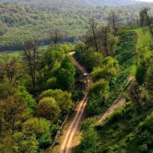 دانلود آهنگ بگو چرا شدیم دور از هم چرا دستات دستامو زود پس زد