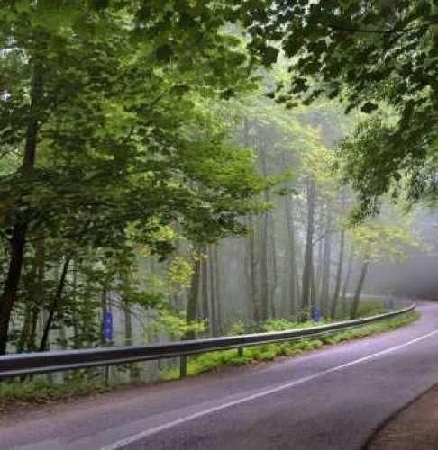 دانلود آهنگ میزنم زیرش غما دور میشن فکر تو میاد