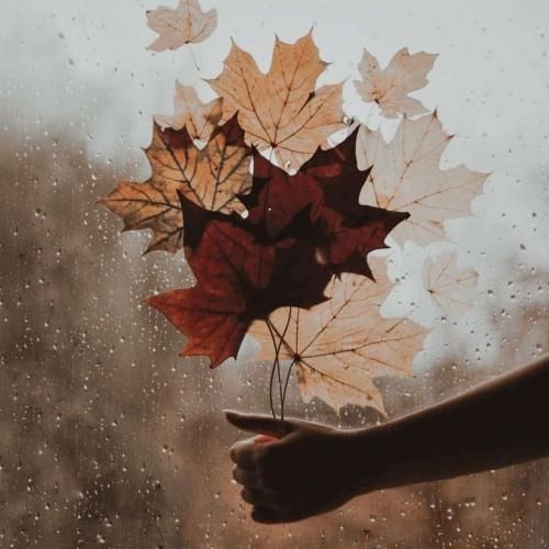 خط به خط میان این شعرا برام