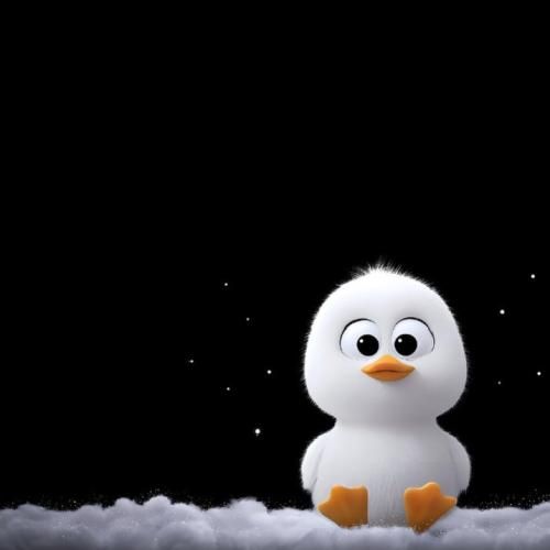  یه خبر جدید ازت رسیده بهم دلبر شنیدم قراره