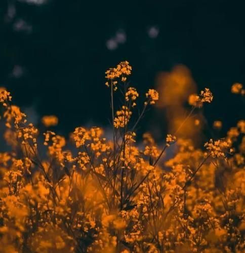 دانلود آهنگ ته قصه شد حس ما سرد من مودیو میشناسی صفره