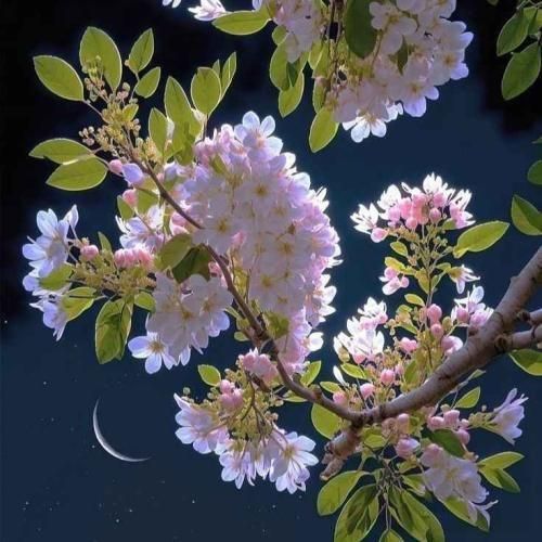 دانلود آهنگ با اینکه نبودی با من خوب همه حرفاتو یادم موندش