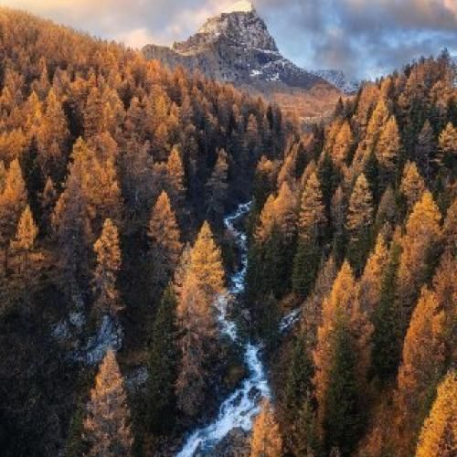 دانلود آهنگ دو تا دستات توی دستام نم بارون