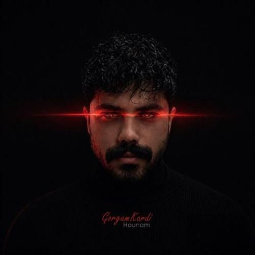 دانلود آهنگ گرگم کردی از هونام