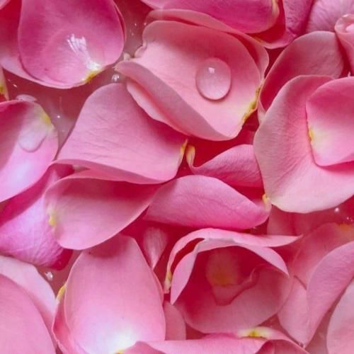 قول داده بودی باشی الان رفتی بگام دادی