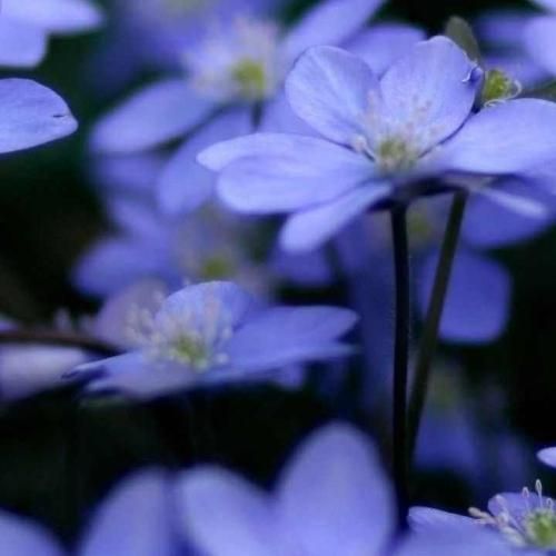 درسته تنهایی خوبه ولی گاهی وقتا عذابم میده