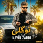 تو گلی نوید زردی