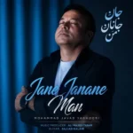 جان جانان من محمد جواد یعقوبی جان جانان من محمد جواد یعقوبی