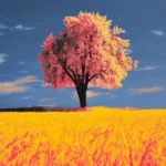 دانلود آهنگ جدید بعد تو حواسم پرته خاطره ها میبرنم دانلود آهنگ جدید بعد تو حواسم پرته خاطره ها میبرنم