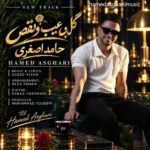 دانلود آهنگ جدید گل بی عیب و نقص از حامد اصغری
