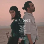 دانلود آهنگ جدید میری دیگه از نوید مولوی
