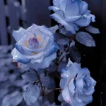 دانلود آهنگ جدید با چشام مردنمو دارم اینجا میبینم