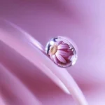 دانلود آهنگ جدید بچه موتور بازه نازه نازه والا