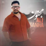 دانلود آهنگ جدید مجنون از علی تنها