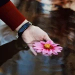 دانلود آهنگ جدید لای مردم تو آسانسور توی بالکن بغلم کن