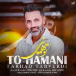 دانلود آهنگ جدید تو همانی از فرهاد تاروردی