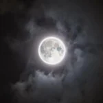 دانلود آهنگ جدید قلبمو بردی میشه دلیور کنی بین