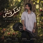 دانلود آهنگ جدید تمشک وحشی از والایار دانلود آهنگ جدید تمشک وحشی از والایار